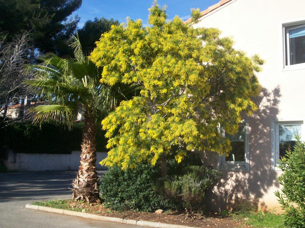 Hotel Stars Antibes Biot Zewnętrze zdjęcie